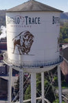 Social Image 2